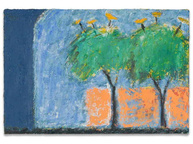 Mexican Trees