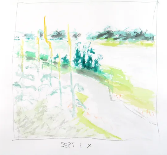 untitled (Springs)