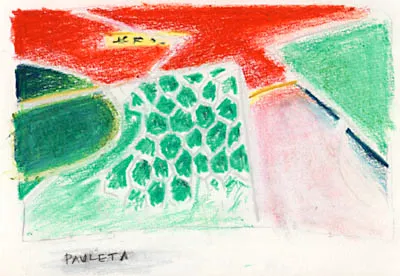 10 june - "pauleta"