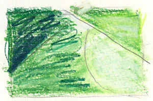 17 june - "field detail"