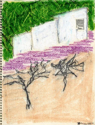untitled (Campodipietra)