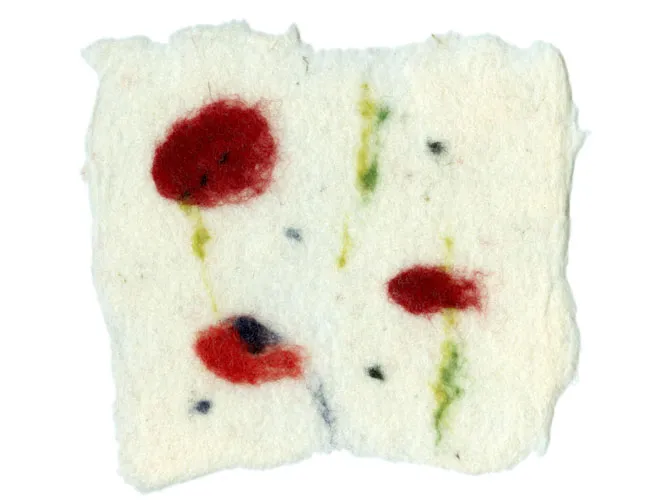 Poppies 1
